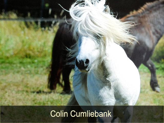 Colin Cumliebank