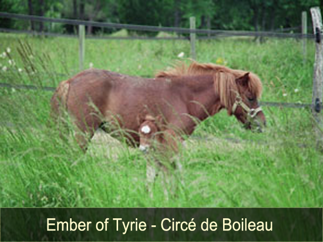 Ember of Tyrie et Circé de Boileau