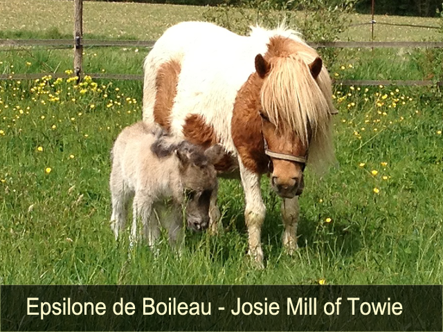 Epsilone de Boileau et Josie Mill of Towi