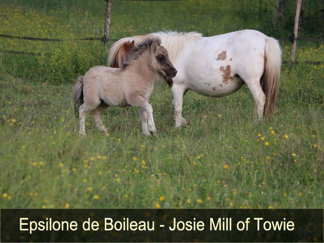 Epsilone de Boileau et Josie Mill of Towi 02