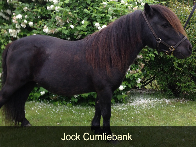 Jock Cumliebank