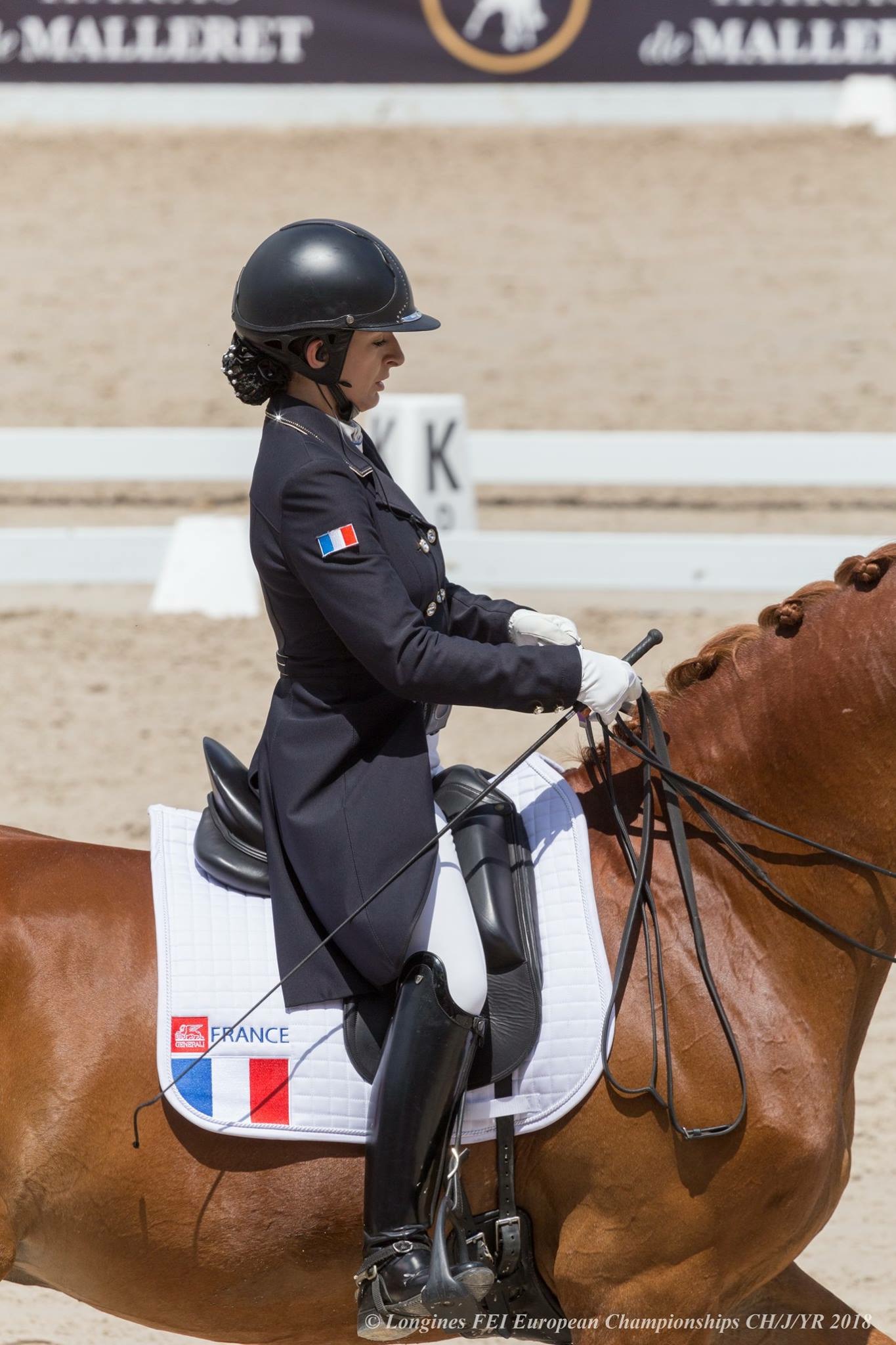 Cavalier en concours