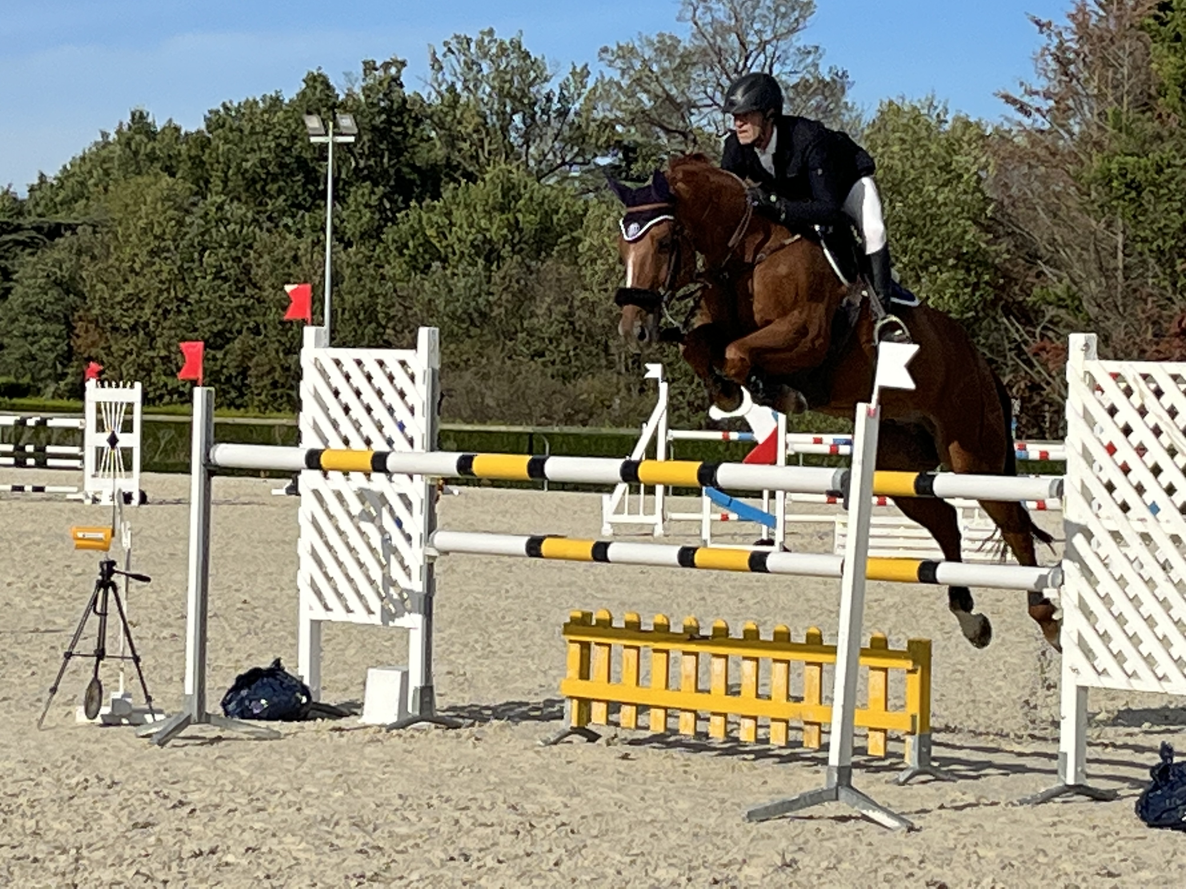 Cheval en saut lors d'un concours