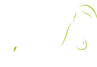Les écuries d'Ulysse