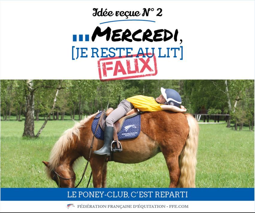 Éveil aux poneys - Idée reçue