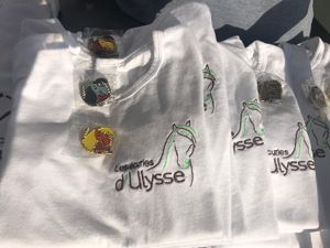 T-shirts coton blanc à manches courtes