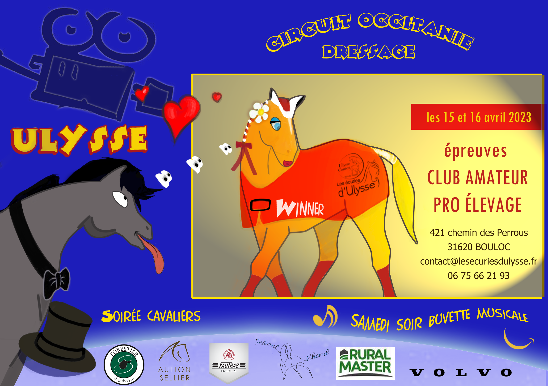 Dressage - Circuit Régional Occitanie